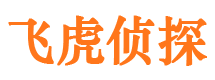 文圣市侦探公司